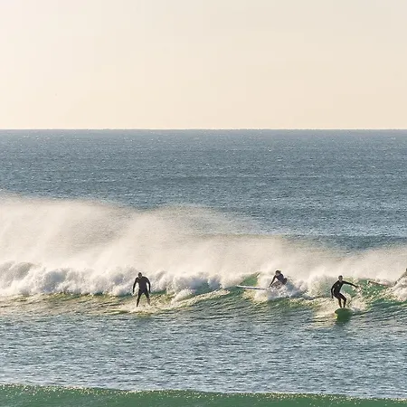 Jasmine Aroeira (Setubal)