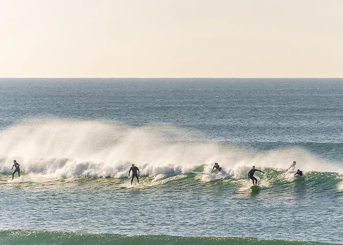Jasmine Aroeira (Setubal)